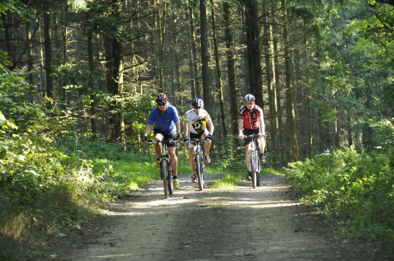 Mountainbiken im Wald im St. Wendeler Land